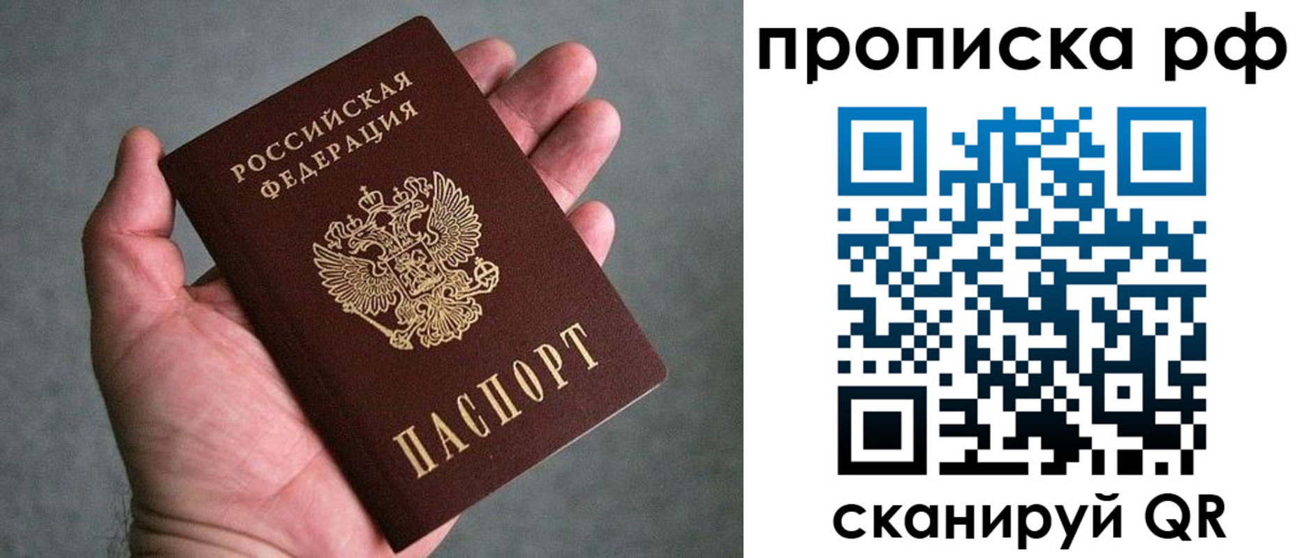 прописка поиск в Старой Руссе